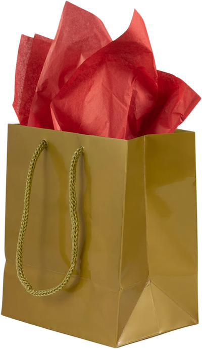 Gold/Red Small Glossy Gift Bags (6 1/2 x 6 1/2 x 3 1/2) (3 Pack) with Tissue Paper (10 Pack)