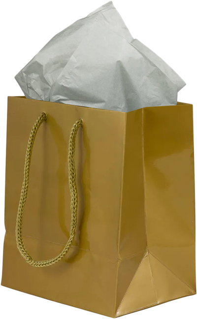 Gold/Gray Small Glossy Gift Bags (6 1/2 x 6 1/2 x 3 1/2) (3 Pack) with Tissue Paper (10 Pack)