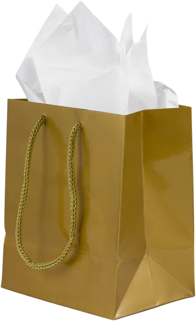 Gold/White Small Glossy Gift Bags (6 1/2 x 6 1/2 x 3 1/2) (3 Pack) with Tissue Paper (10 Pack)