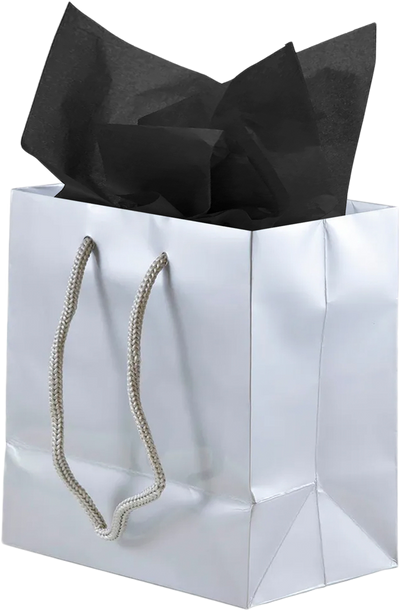 Silver/Black Small Glossy Gift Bags (6 1/2 x 6 1/2 x 3 1/2) (3 Pack) with Tissue Paper (10 Pack)