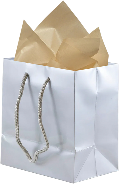 Silver/Gold Small Glossy Gift Bags (6 1/2 x 6 1/2 x 3 1/2) (3 Pack) with Tissue Paper (10 Pack)