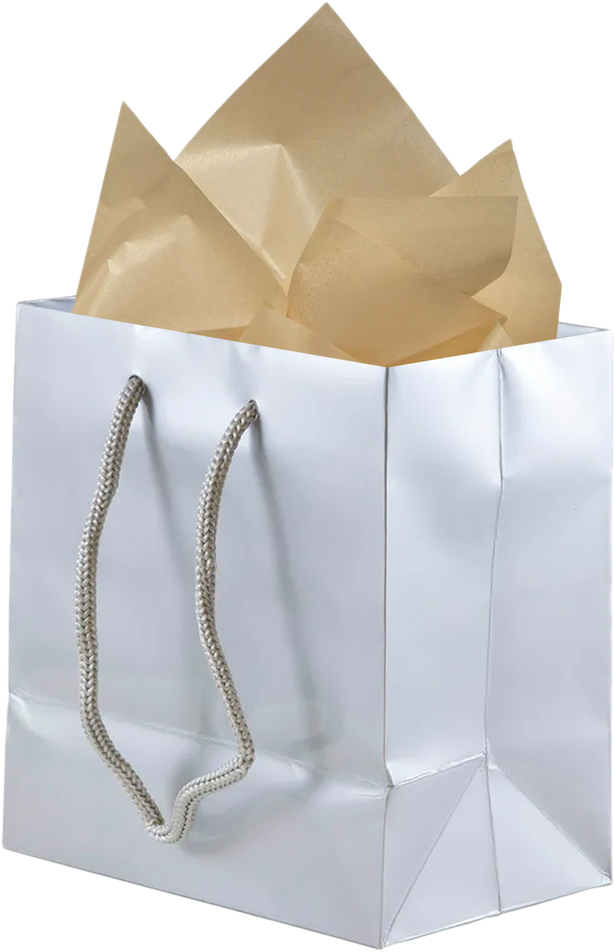 Silver/Gold Small Glossy Gift Bags (6 1/2 x 6 1/2 x 3 1/2) (3 Pack) with Tissue Paper (10 Pack)