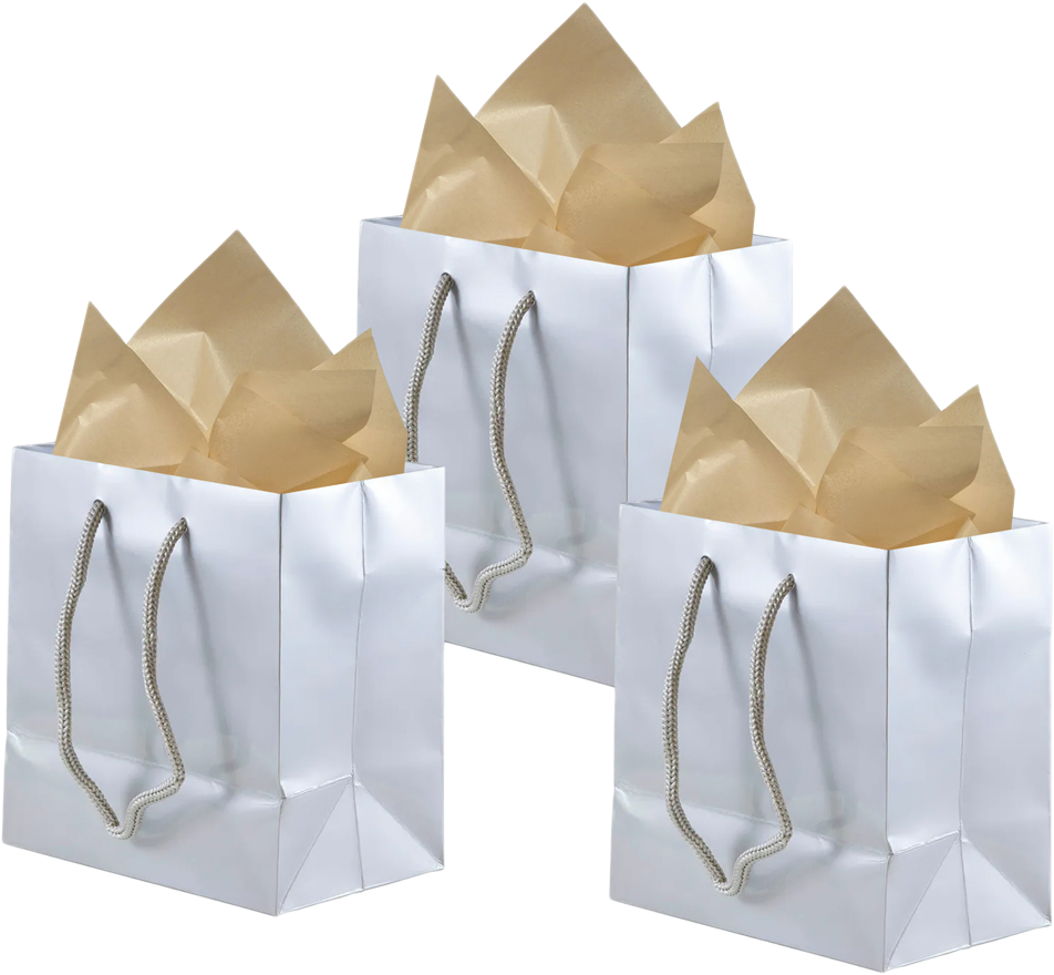 Silver/Gold Small Glossy Gift Bags (6 1/2 x 6 1/2 x 3 1/2) (3 Pack) with Tissue Paper (10 Pack)