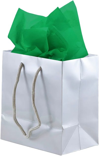 Silver/Green Small Glossy Gift Bags (6 1/2 x 6 1/2 x 3 1/2) (3 Pack) with Tissue Paper (10 Pack)