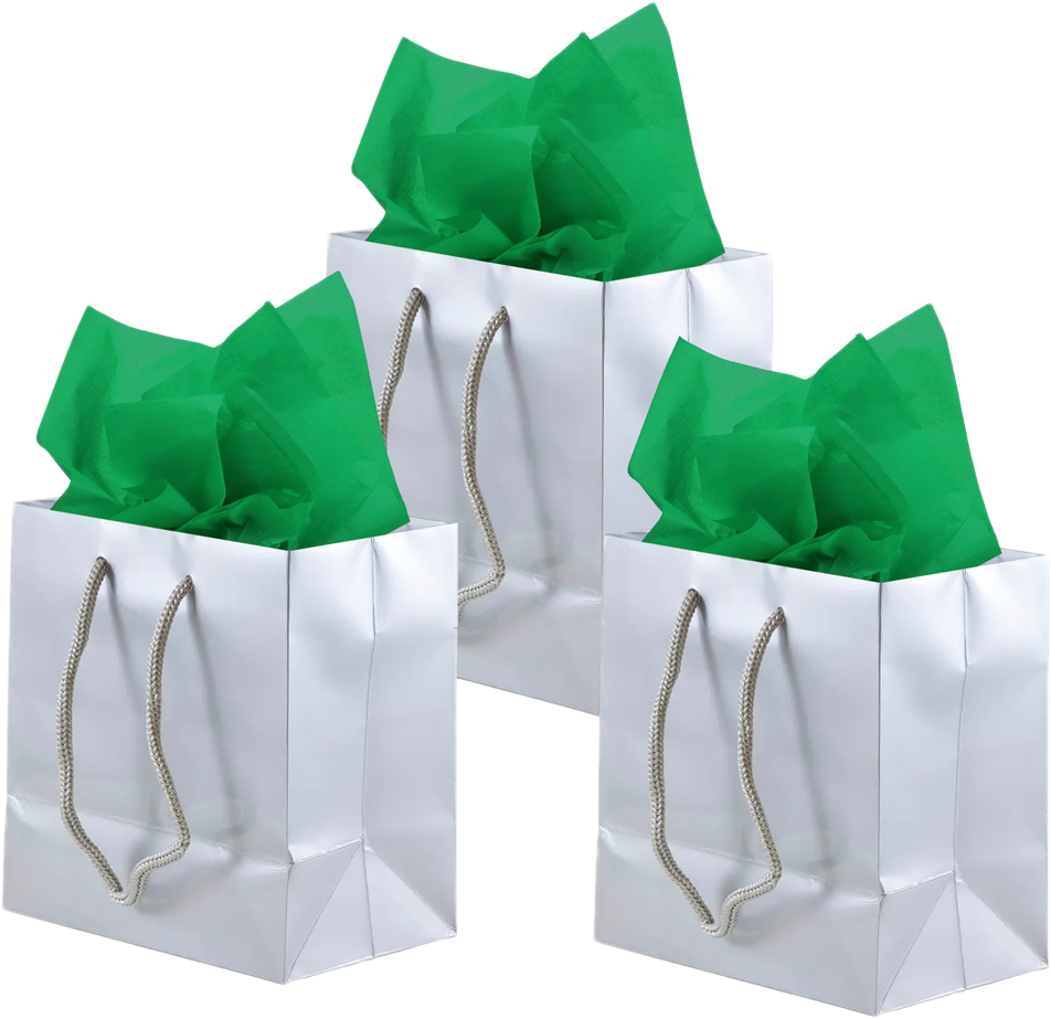 Silver/Green Small Glossy Gift Bags (6 1/2 x 6 1/2 x 3 1/2) (3 Pack) with Tissue Paper (10 Pack)