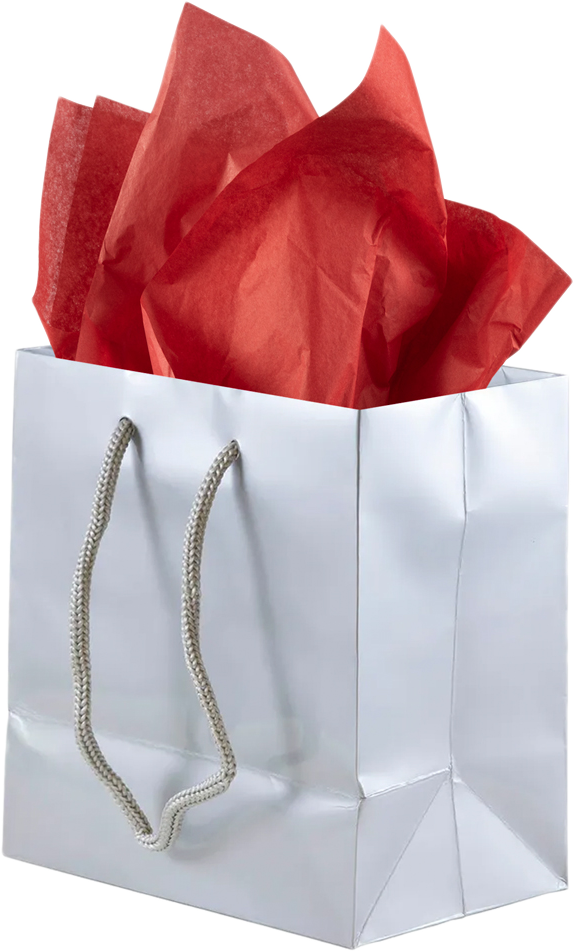Silver/Red Small Glossy Gift Bags (6 1/2 x 6 1/2 x 3 1/2) (3 Pack) with Tissue Paper (10 Pack)