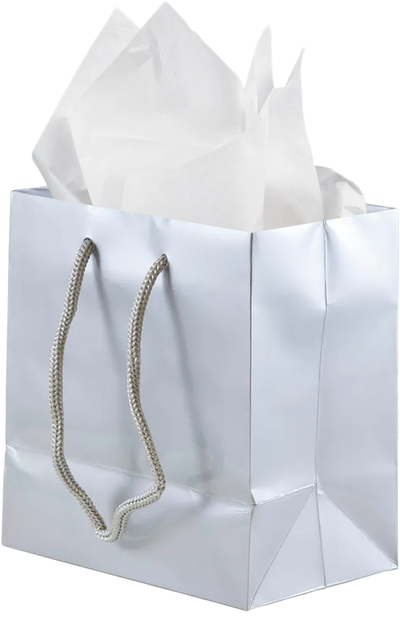 Silver/White Small Glossy Gift Bags (6 1/2 x 6 1/2 x 3 1/2) (3 Pack) with Tissue Paper (10 Pack)