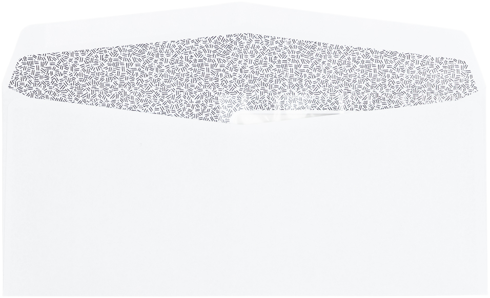 White with Security Tint 24lb #10 All Purpose Window (4 1/8 x 9 1/2)