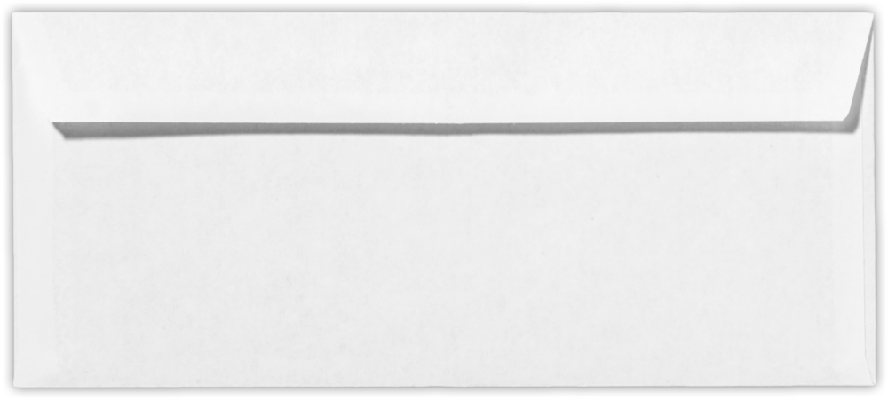 White with Security Tint 24lb #10 Double Window Envelopes (4 1/8 x 9 1/2)