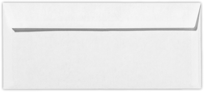 White with Security Tint 24lb #10 Double Window Envelopes (4 1/8 x 9 1/2)