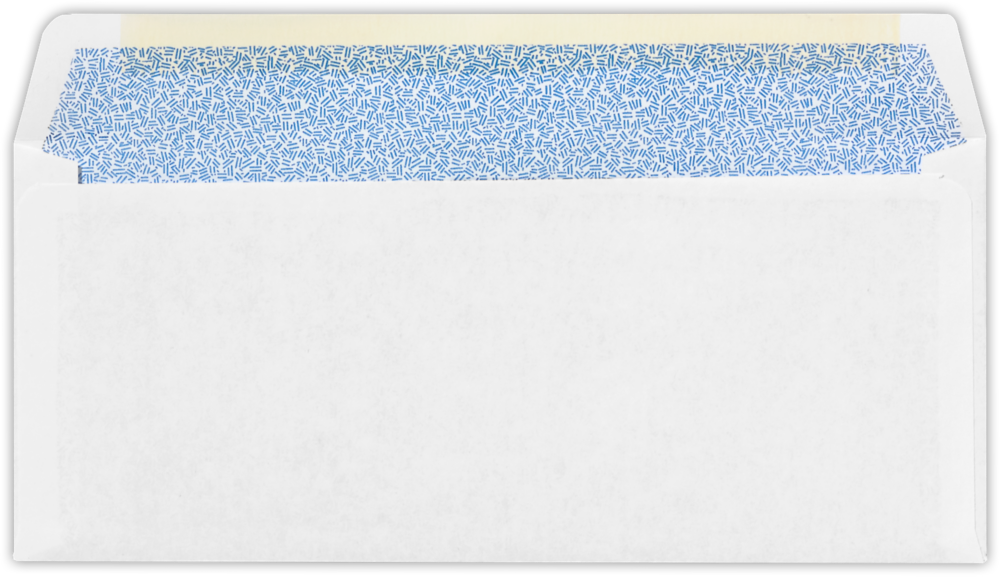 White with Security Tint 24lb #10 Double Window Envelopes (4 1/8 x 9 1/2)