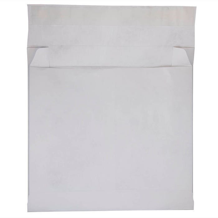 12 x 16 x 4 Envelopes