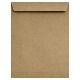 8.5 x 10.5 Envelopes