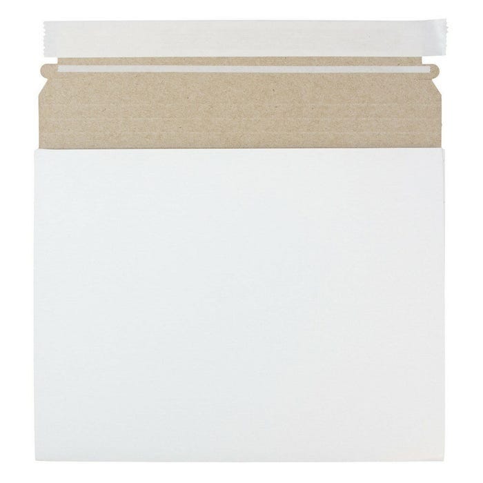 10 x 7 3/4 x 1 Envelopes