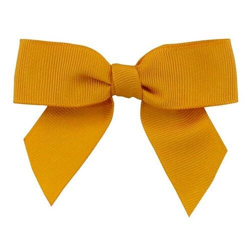 Orange Gift Bows