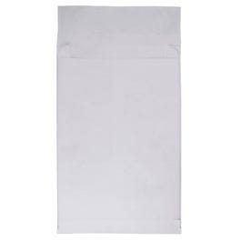 10 x 13 x 2 Envelopes