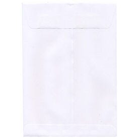 10 x 15 Envelopes