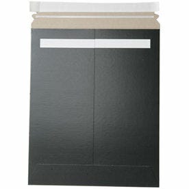 11 x 13 1/2 Envelopes