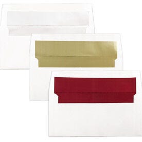 3.825 x 8.125 Envelopes