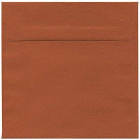 6 1/2 x 6 1/2 Square Envelopes