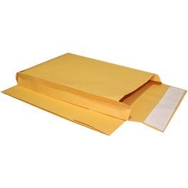 10 x 15 x 2 Envelopes