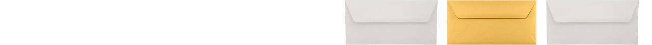 #16 Envelopes - 6 x 12 #16 Envelopes - 6 x 12