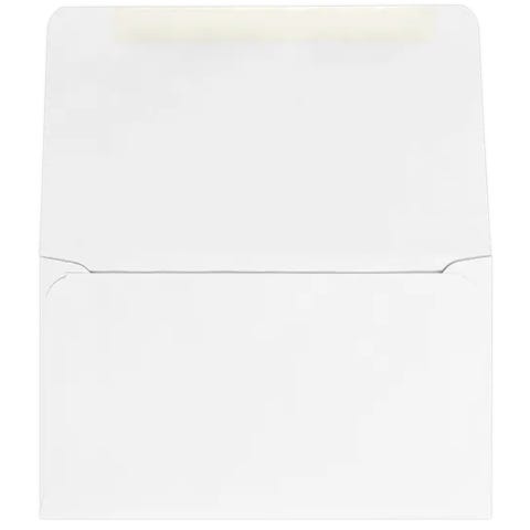 Remittance Envelopes