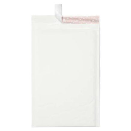 6 x 10 Mailers