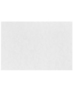 White Parchment 4 5/8 x 6 1/4 (fits inside an A6 envelope) Blank Note Cards