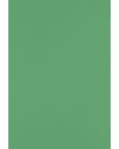 13 x 19 Cardstock - Holiday Green