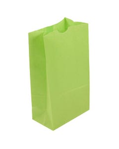 Lime Green Lunch Bags Large 6 x 11 x 3 1/2