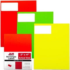 Assorted Neon 2 x 4 Address Labels - 360 Pack