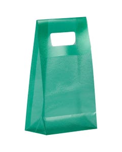 Green Frosted Plastic Lunch Bags Medium 4 3/4 x 8 1/4 x 2 1/2