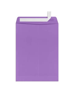 Violet 9 x 12 Open End Envelope with Peel & Seal
