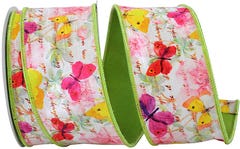 Citrus/Butterfly 2 1/2 Inch x 10 Yards Spring Ribbon