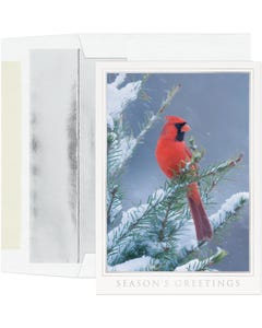 Let Nature Sing Holiday Card Set