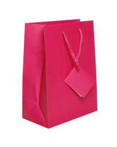 Hot Pink Matte Medium 8 x 10 x 4 Gift Bag