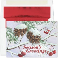 Pine Branch Holiday Cards