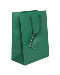Green Matte Medium 8 x 10 x 4 Gift Bag