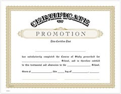 "Promotion" Gold Preprinted 8 1/2 x 11 Certificate
