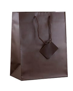 Chocolate Brown Matte Large 10 x 13 x 5 Gift Bag