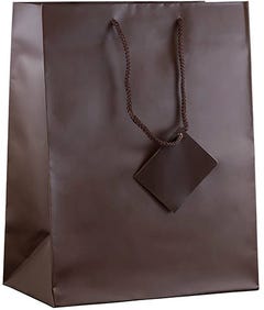 Chocolate Brown Matte Gift Bag - Large - 10 x 13 x 5