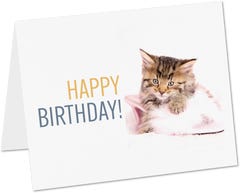 Rachael Hale Cat A7 Birthday Cards - Pack of 10