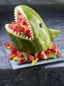 shark watermelon