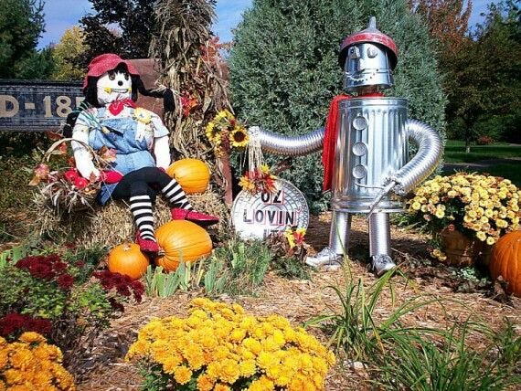 wizard of oz, scarecrow, stuffing, halloween, pumpkins, pumpkin patch, halloween decorations