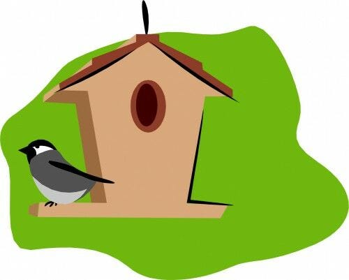 bird perched outside birdhouse cartoon