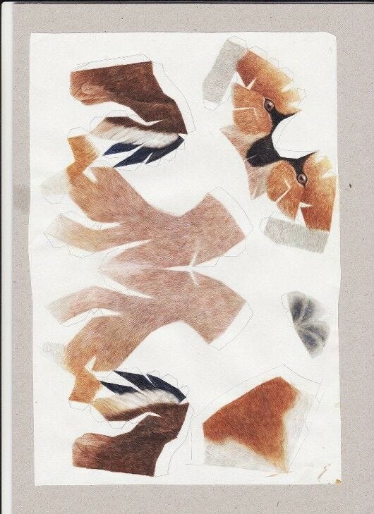 white paper with brown paper bird pieces 