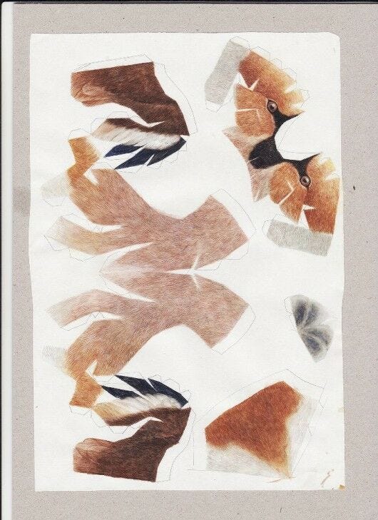 Paper Bird Template white paper with brown paper bird pieces
