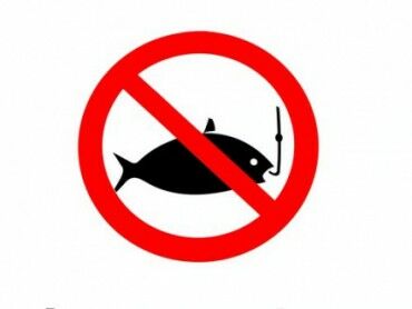 no fish