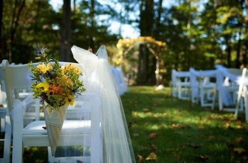 Flowers in cones on chairs